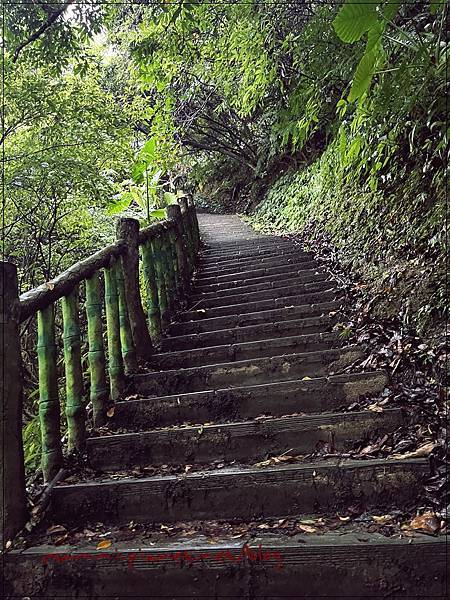 〖貓空。茶香環狀步道〗健康步道/壼穴吊橋輕鬆走 〖貓空。茶香環狀步道〗健康步道/壼穴吊橋輕鬆走