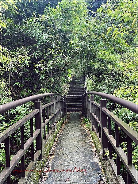 〖貓空。茶香環狀步道〗健康步道/壼穴吊橋輕鬆走