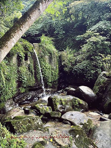 〖貓空。茶香環狀步道〗健康步道/壼穴吊橋輕鬆走 〖貓空。茶香環狀步道〗健康步道/壼穴吊橋輕鬆走