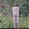IMGP4471.JPG