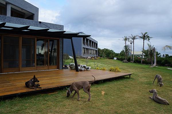 DSC01578.JPG DSC01578.JPG