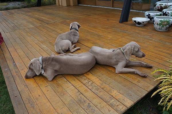 DSC01628.JPG DSC01628.JPG