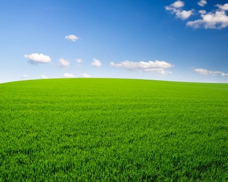 37912944-sky-and-grass-field-background.jpg 37912944-sky-and-grass-field-background.jpg