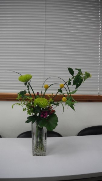 DSCF1393.jpg