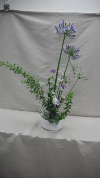 DSCF2659.jpg