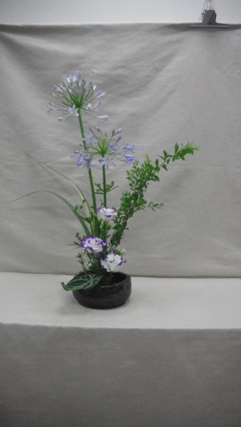 DSCF2675.jpg