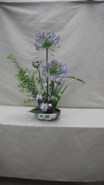 DSCF2676.jpg