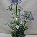 DSCF2677.jpg