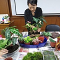 IMG_1934.jpg