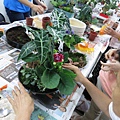 IMG_1947.jpg
