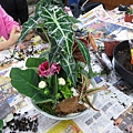 IMG_1950.jpg