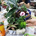 IMG_1951.jpg