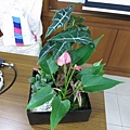 IMG_1952.jpg