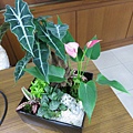 IMG_1953.jpg