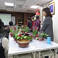 IMG_3420.jpg