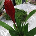 IMG_3439.jpg
