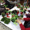 IMG_3445.jpg