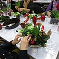 IMG_3446.jpg