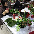 IMG_3455.jpg