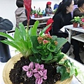 IMG_3463.jpg