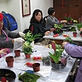 IMG_3466.jpg
