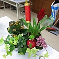 IMG_3475.jpg