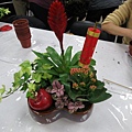 IMG_3481.jpg
