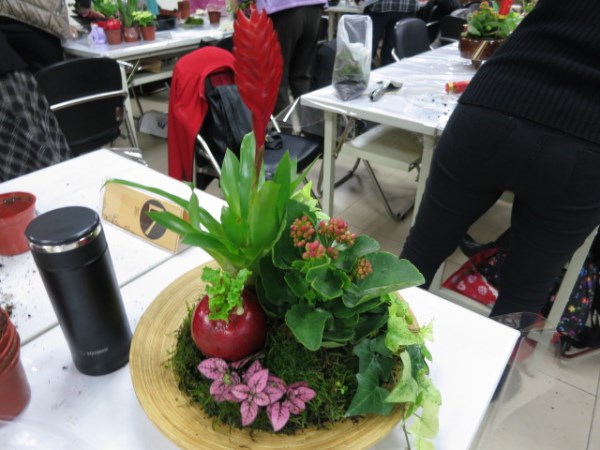 IMG_3480.jpg
