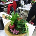 IMG_3480.jpg