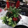 IMG_3482.jpg