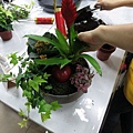 IMG_3483.jpg