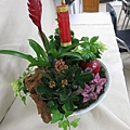 IMG_3485.jpg
