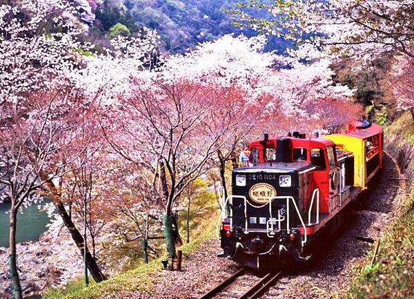 20151102044818_qBAfH.jpg 20151102044818_qBAfH.jpg