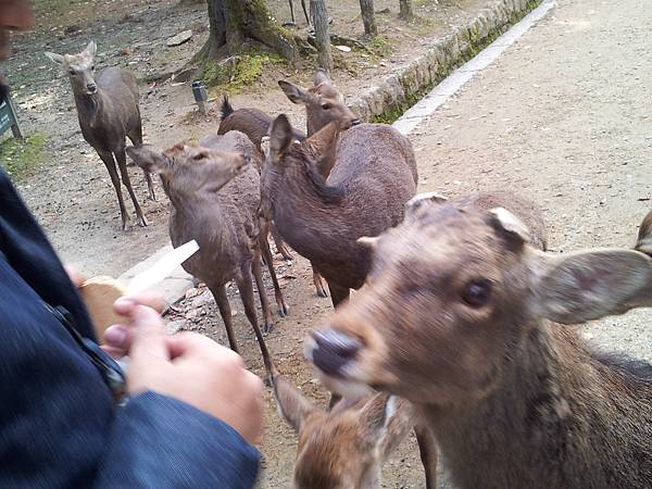 20131201_141450.jpg 20131201_141450.jpg