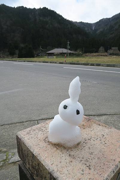 IMG_4736.JPG IMG_4736.JPG