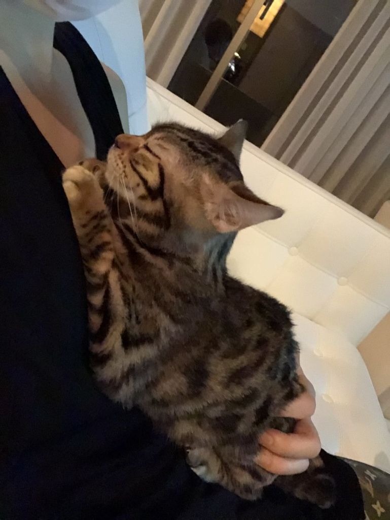 DdFrjrCVMAENQFF DdFrjrCVMAENQFF