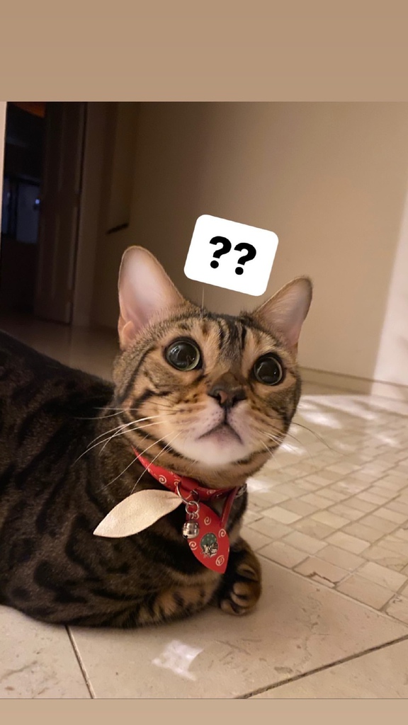 /tmp/phpZ1Y8qb /tmp/phpZ1Y8qb