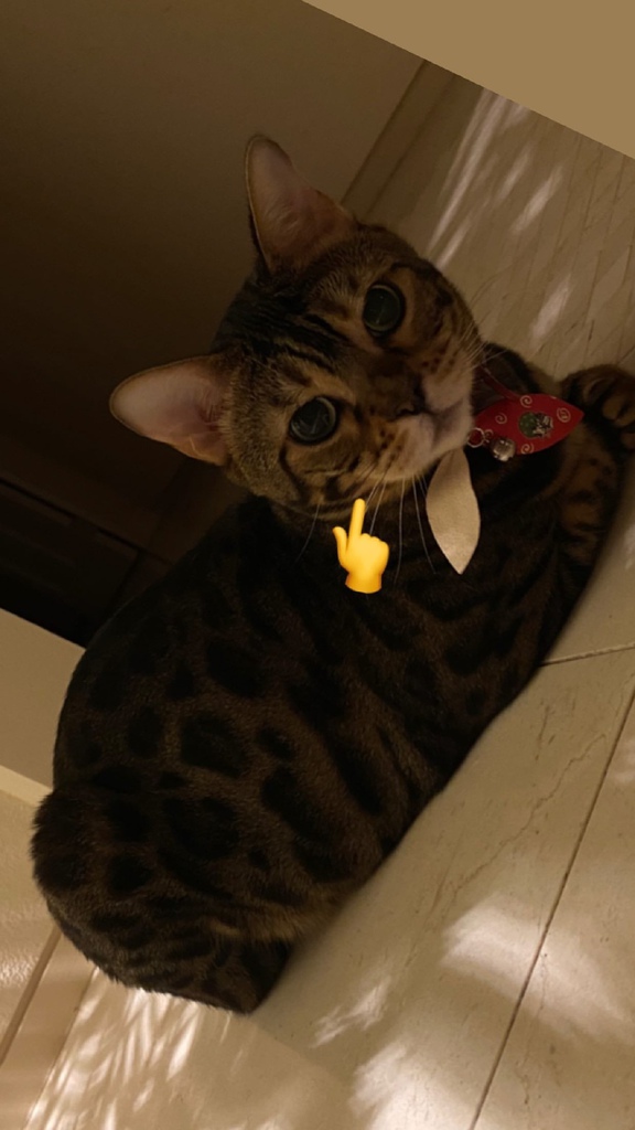 /tmp/php61vjni /tmp/php61vjni