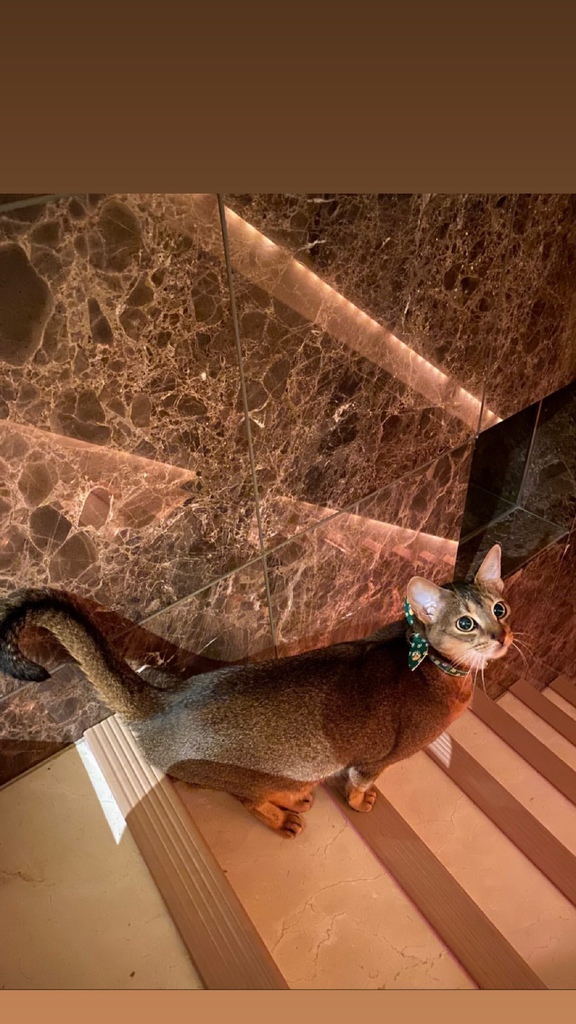 /tmp/phpqzgXop /tmp/phpqzgXop