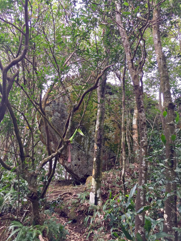 關西高甫山石牛山縱走 身心俱疲的阿雜之旅 風城魯肉腳的部落格 痞客邦 關西高甫山石牛山縱走 身心俱疲的阿雜之旅 風城魯肉腳的部落格 痞客邦