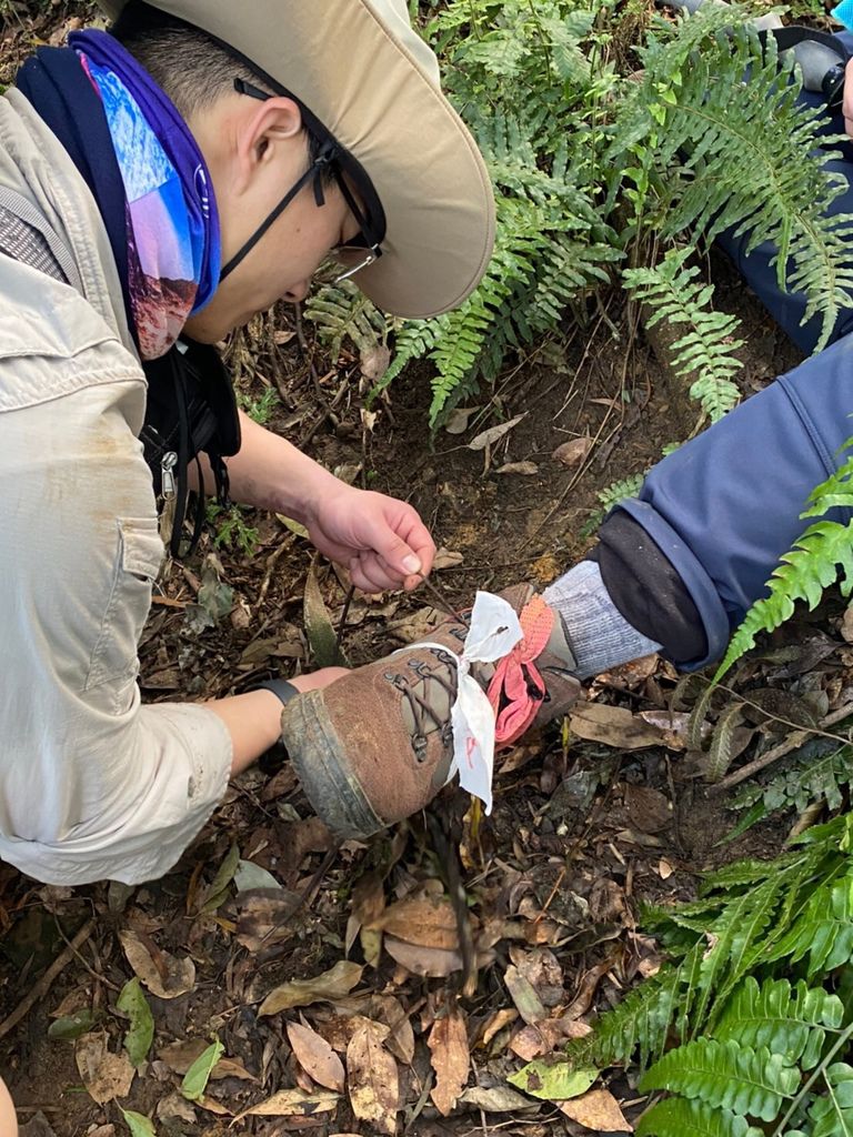 關西高甫山石牛山縱走 身心俱疲的阿雜之旅 風城魯肉腳的部落格 痞客邦 關西高甫山石牛山縱走 身心俱疲的阿雜之旅 風城魯肉腳的部落格 痞客邦