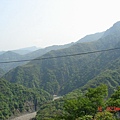 沿路風景