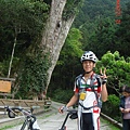 明池神木