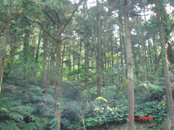 DSC00453 拷貝.jpg