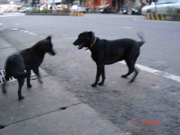 DSC00526 拷貝.jpg