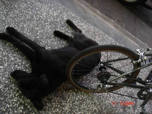 DSC00528 拷貝.jpg