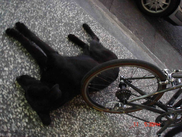 DSC00529 拷貝.jpg