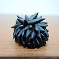 DSCN1450_調整大小.JPG