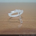 DSCN1490_調整大小.JPG