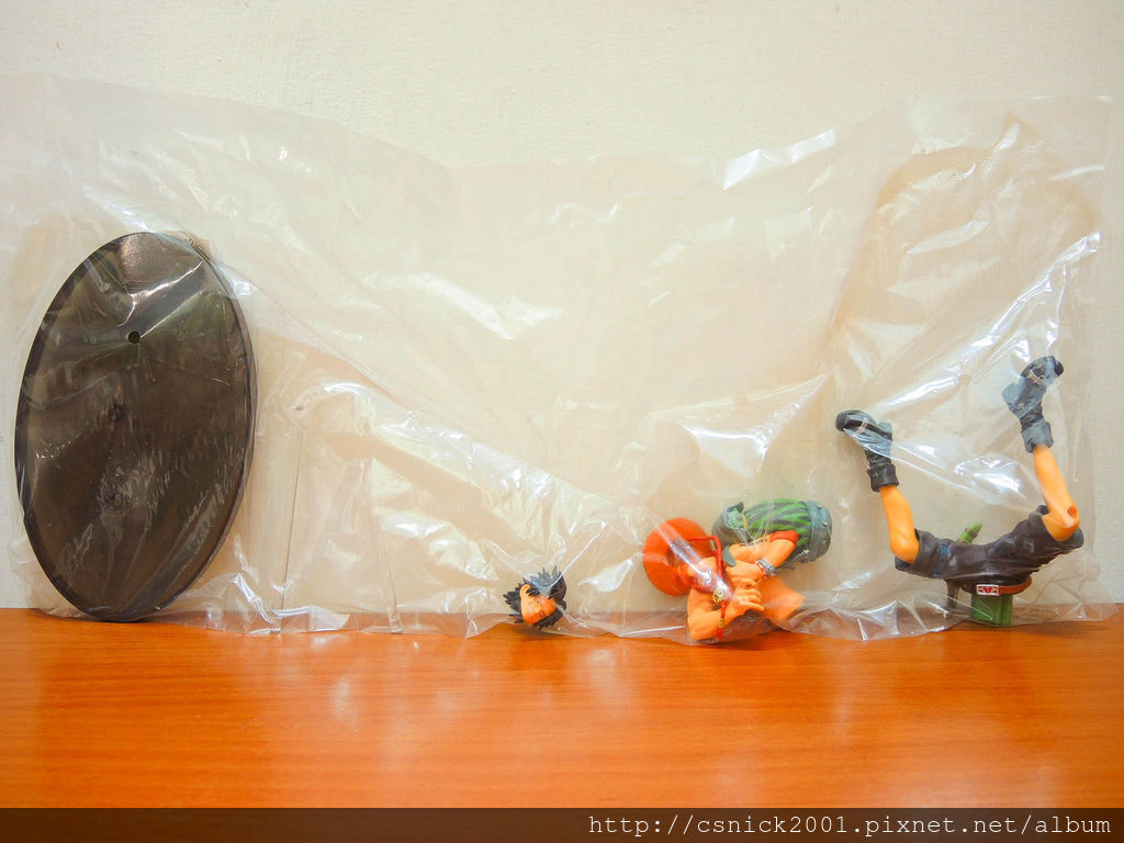 DSCN3894_調整大小.jpg DSCN3894_調整大小.jpg